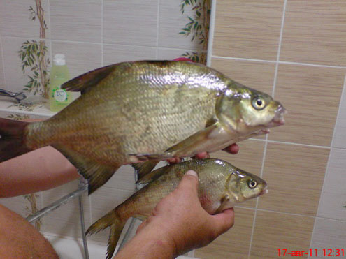 DSC00059_новый размер.JPG